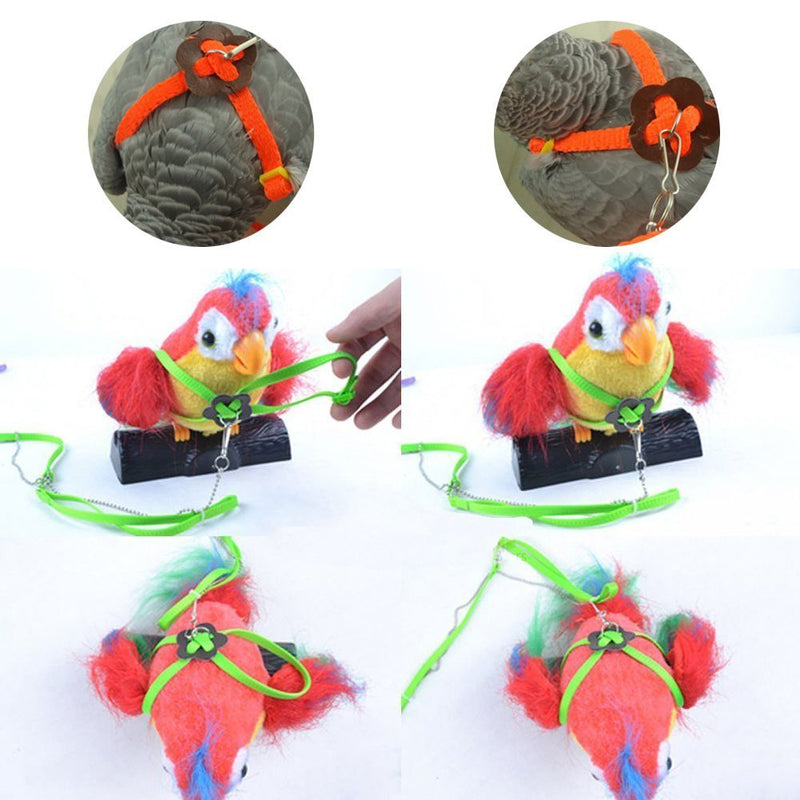 Parrot Bird Adjustable Harness Leash Anti-bite Multicolor Light Soft Fashion Color Random - PawsPlanet Australia