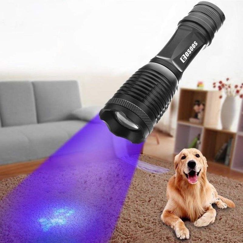 [Australia] - UV Flashlight Black Light, COSOOS 2 in 1 White Light & 395nm BlackLight, Pet Urine Detector for Dog/Cat Urine, Dry Stains, Scorpion.(Holster Included) 1 Pack 