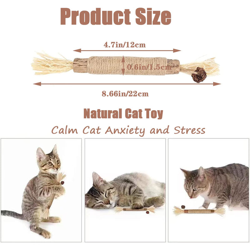 Tsathoggua catnip sticks, 4 pieces catnip toys, interactive cat toy, cat toy, cat toy for removing tartar, refreshing breath, organic interaction cat grass - PawsPlanet Australia
