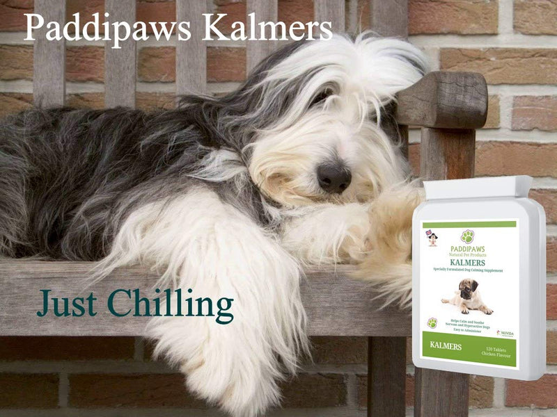 PADDIPAWS Dog Calming Tablets - A natural blend to help calm and soothe anxious, nervous and hyper-active dogs - Behavioural issues - Fireworks - Travel & Vet visits - 120 Calming tablets for Dogs. - PawsPlanet Australia