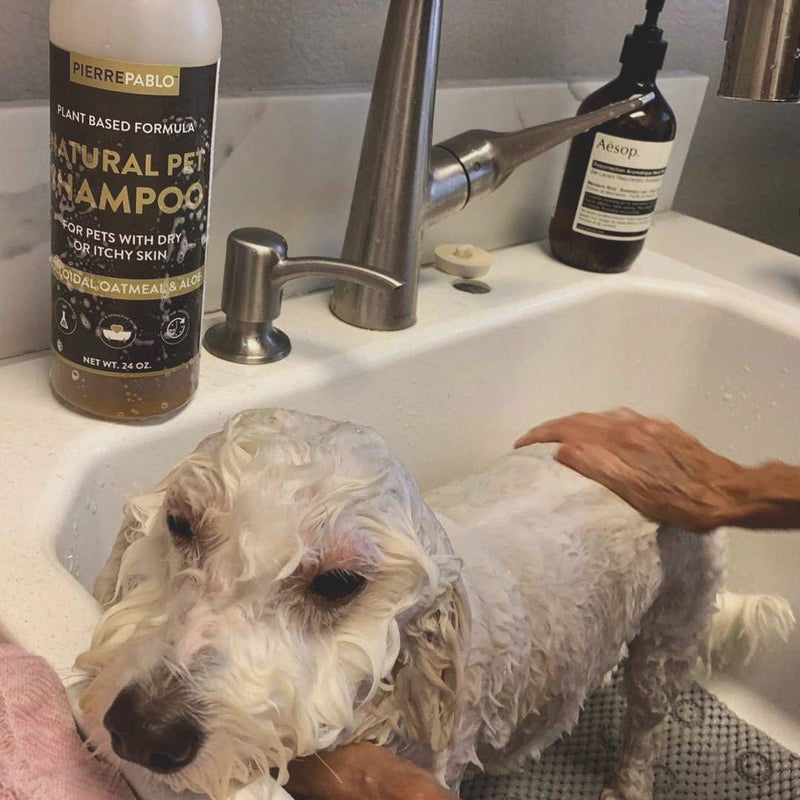 [Australia] - PierrePablo Natural Oatmeal Dog Shampoo with Enhanced Odor Control, 24 Ounces 