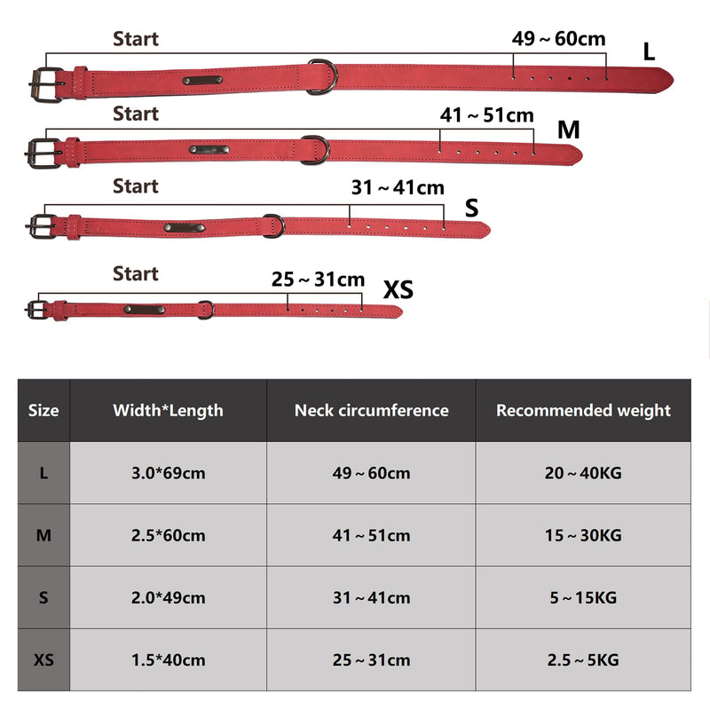 Dog Collar Adjustable, Simple, Robust, Weather Resistant for Puppies Small Medium Large Dogs Classic Collar Dog (M: 2.5CM Wide for 39CM - 49CM Neck, Green-New) M: Adjustable 39CM-49CM, Width 2.5cm - PawsPlanet Australia