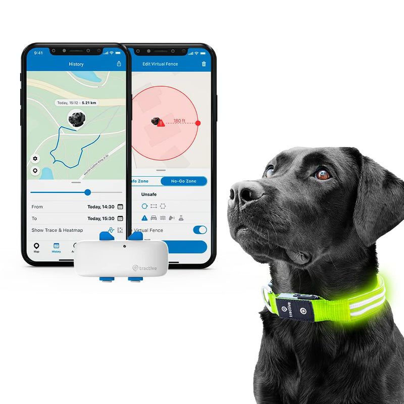 Tractive GPS Pet Tracker with LED Light Up Dog Collar - Waterproof, GPS Location & Smart Activity Tracker, Unlimited Range (Green, Large) LED Collar w/ GPS Tracker - PawsPlanet Australia