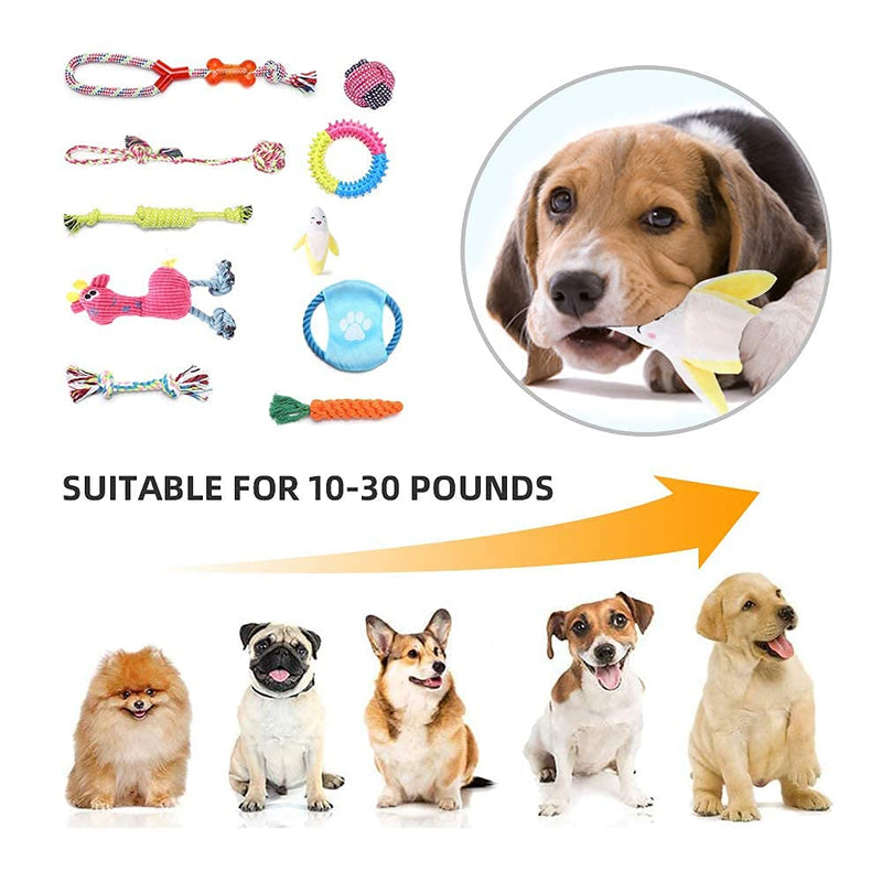 Trongle Dog Toys for Puppy, Cotton Puppy Chew Toys Set Dog Rope Toys with Frisbee and Braided Rope for Small or Medium DogsTeething Bundle Teeth Cleaning (10 PCS) - PawsPlanet Australia