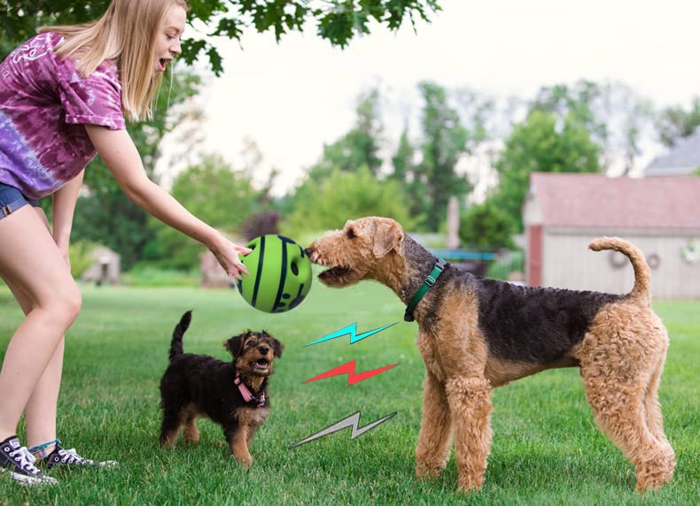 Wobble Giggle Dog Ball,Strange dog toy ball,Hamburger Pet Ball,Training Playing Ball,Interactive Toy for small medium and large dog,The best fun giggle sound dog toy,As Seen On TV(no battery required) 4"Green Pet-balls(1pack) - PawsPlanet Australia