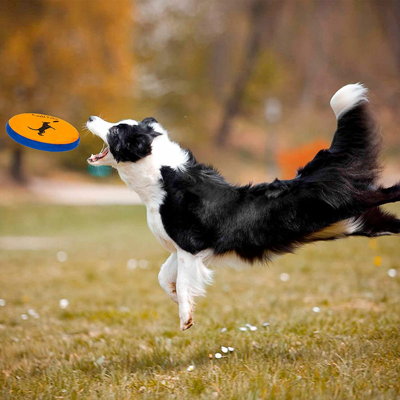 KOOLTAIL Dog Flying Discs - 2 Pack Interactive Dog Fetch Toys Durable Soft Waterproof Dog Floats in Water & Safe on Teeth - PawsPlanet Australia