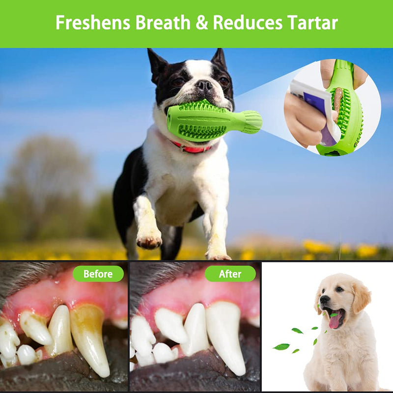 Petdexon Dog Chew Toys, Small/ Medium Dog Toys for Aggressive Chewers, 4 in 1 Interactive Squeaky Dog Teeth Cleaning Toys, Indestructible Natural Rubber Puppy Chew Toys with Milk Flavor (Green) A-Green - PawsPlanet Australia