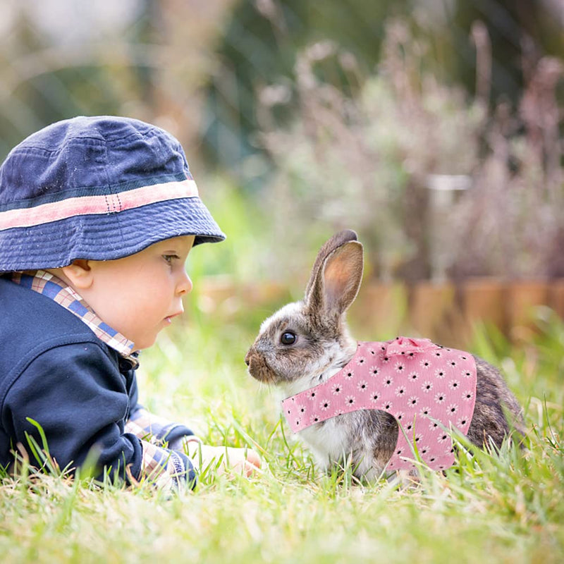 2 Pcs Rabbit Harness Leash Adjustable Bunny Harness Leash Traction Vest Harness and Leash Set Cute Vest Harness for Rabbit Kitten Small Cats Rats Hamster Ferret Guinea Pig Walking（Pink + Blue） (M) M - PawsPlanet Australia