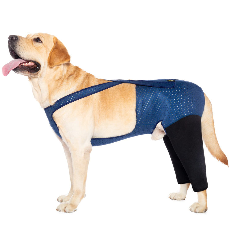 Coodeo Dog Recovery Suit, Cone Collar Alternative, Abrasion Resistant Dog Recovery Rear Sleeves, Washable 2.5mm Thick and Waterproof, Pet Wounds Prevent Licking, Bite (XL, Blue) XL - PawsPlanet Australia