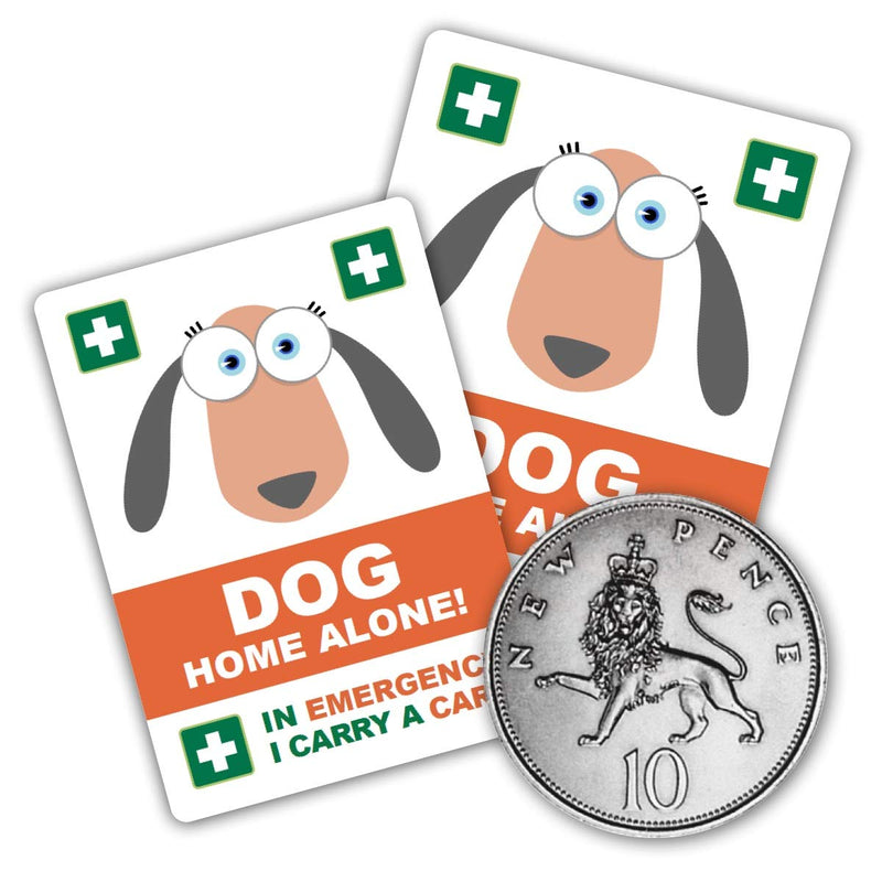 ICECARD DOG Home Alone PREMIUM Card Pack - Wallet size card with WRITABLE reverse for Contact Details of Friends, Family or Neighbours who will look after you pets if you are ill or injured 1 Count (Pack of 1) - PawsPlanet Australia