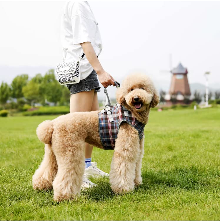XTrador dog harness walking aid for dogs especially for shoulder problems carrying strap for injured, older or musculoskeletal limited dogs rehabilitation safety walking aid (L) L - PawsPlanet Australia