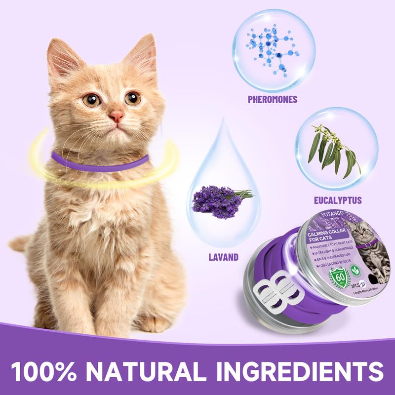 Calming Collar for Cats, Adjustable Calming Collar with Pheromones Cats, Waterproof Calming Collar for Cats Anti Stress for 60 Days for Kittens Large Cats Purple 2 Pieces Purple-2 Pieces - PawsPlanet Australia