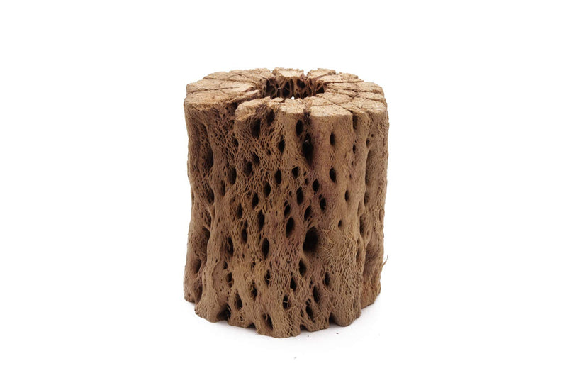 My Pet Patrol 3 to 48 Inch All Natural Teddy Bear Cholla Wood Extra Hollow Large Untreated Organic Aquarium Driftwood Decoration Chew Toy Shrimp Crab Multi-Quantity 1 Piece, 3 inch - PawsPlanet Australia