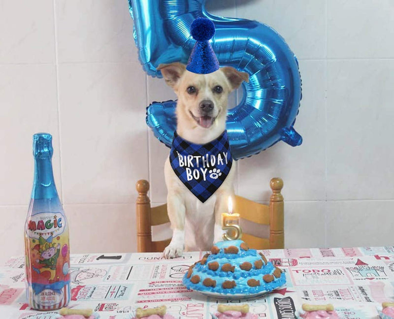 Dog Birthday Bandana and Pet Birthday Hat Set, Doggy Birthday Bone Toy for Small Medium Dogs - PawsPlanet Australia