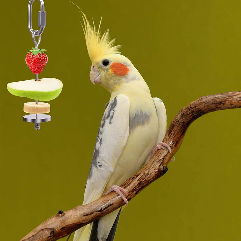 Bird Food Holder, Bird Feeders, Stainless Steel Parrot Fruit Vegetable Stick Holder, Foraging Toy, Bird Treat Skewer (S) S - PawsPlanet Australia