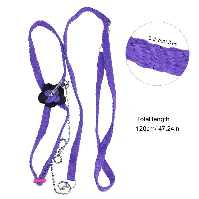 1.2M Bird Harness and Leash, Adjustable Parrot Harness Flying Anti-bite Training Rope for African Grey Cockatoo and Reptile Lizard Outdoor Walk(Purplr) - PawsPlanet Australia