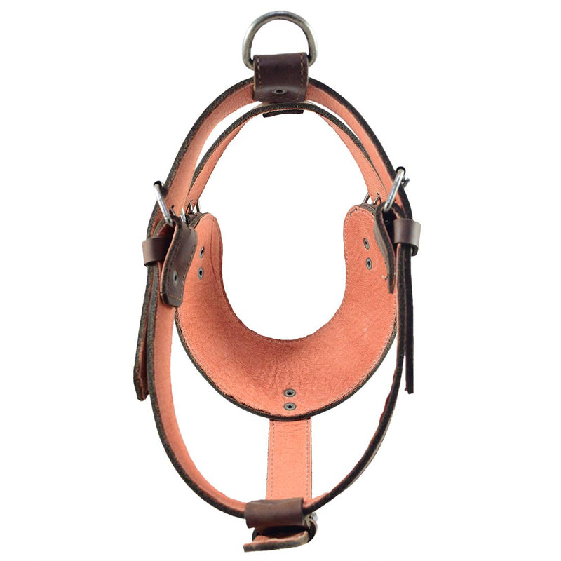 [Australia] - Hide & Drink, Thick Leather Adjustable Dog Harness, No-Pull Pet Harness, Outdoor Pet Vest, Handmade Includes 101 Year Warranty :: Bourbon Brown 