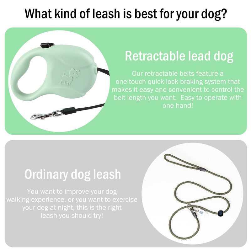 5m Automatic Retractable Dog Lead with Black Collar - PawsPlanet Australia
