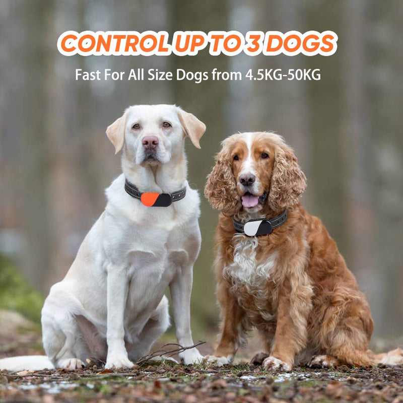 [Australia] - Dog Training Collar with Remote - Dog Shock Collar w/3 Training Modes, Beep, Vibration and Shock, 100% Waterproof Training Collar - Up to 1000Ft Range Remote - Suitable for Small, Medium or Large Dogs For Two Dogs 