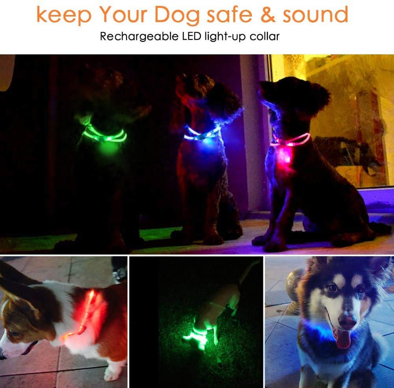 Rechargeable LED Dog Collar, Glowing pet Dog Collar for Night Safety,Rechageable Cuttable TPU Light Up Dog Lights for Small Medium Large Dogs LED Collar - PawsPlanet Australia
