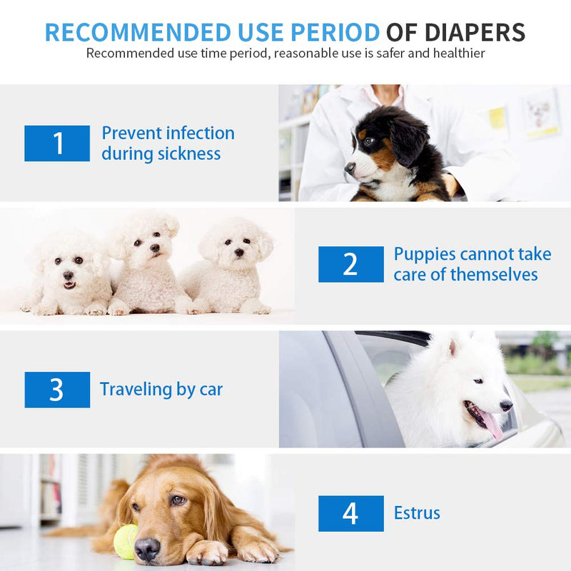 SHAREWIN Dog Diapers Disposable Wraps for Male Dogs & Puppy Physiological Pants Pet  Diaper Paper,12 Count || 36 Count 12PCS XS - PawsPlanet Australia