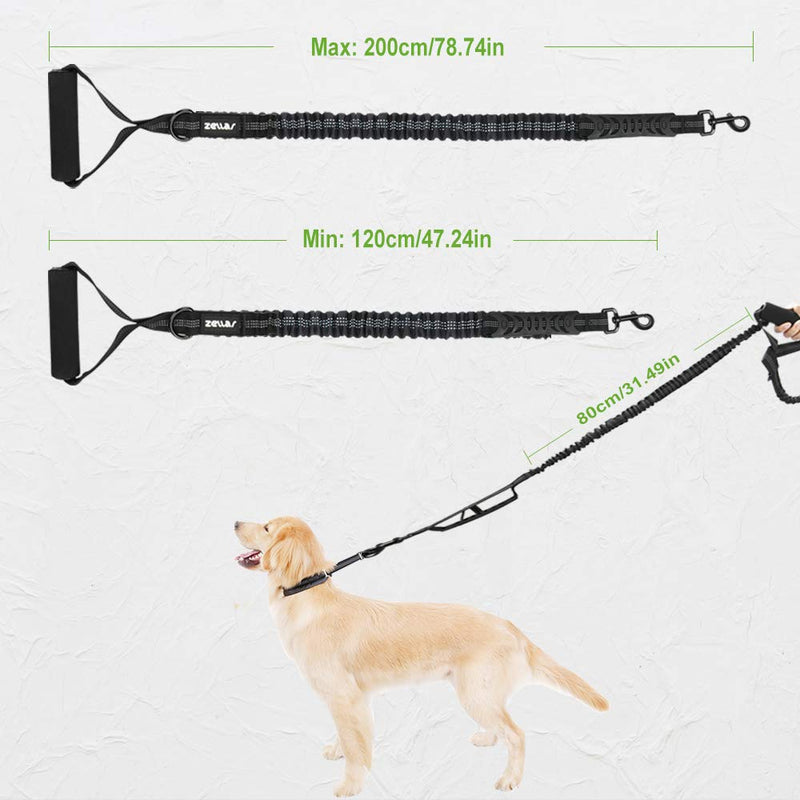 Bungee Dog Lead, Zellar Anti Pull Shock Absorbing Bungee Leash, Strong Dog Lead Pet Training Leash with Comfortable Padded Handle for Small Medium Large Dog - Reflective for Night Time Walking (Black) - PawsPlanet Australia