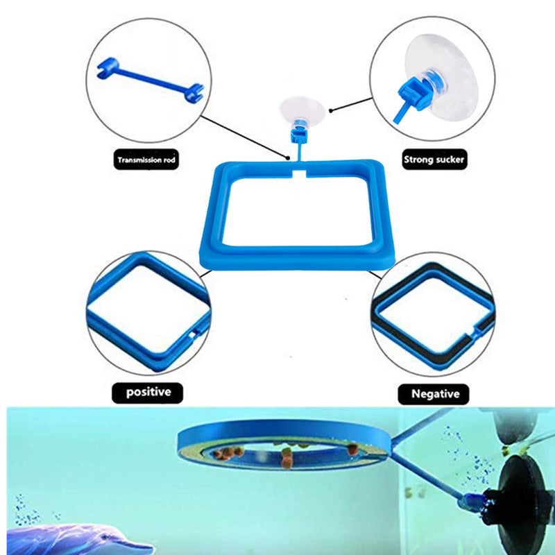2 Pcs Fish Feeding Ring, Fish Safe Floating Food Feeder Circle Blue, with Suction Cup Easy to Install Aquarium, Square and Round Shape Fish Tank Towels - for Guppy, Betta, Goldfish, Etc. A blue - PawsPlanet Australia