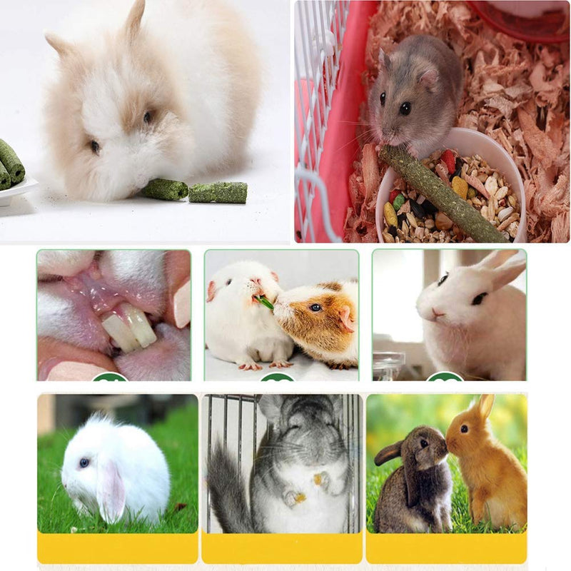 [Australia] - TAI JI 35pcs Timothy Hay Sticks Chew Toys for Guinea Pig Chinchillas Rabbit Hamsters Squirrel and Other Small Animals 