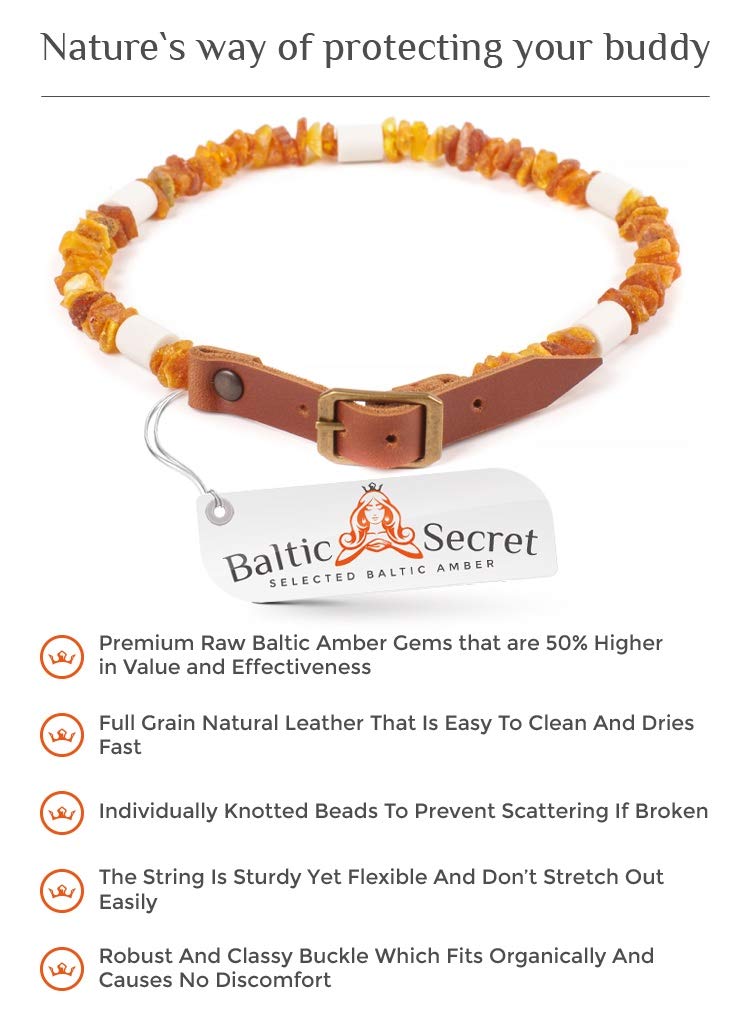 Amber dog collar with EM ceramic pipes - effective MICRO - ORGANISMS - flea treatment for dogs and cats - natural tick protection 35-40 cm - PawsPlanet Australia
