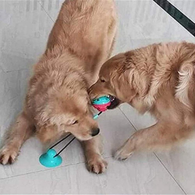 Pet Bite Toy Multifunction Pet Molar Bite Toy,Pet Supplies with Suction Cup Teeth Cleaning,Durable Dog Tug Rope Ball Toy with Suction Cup Pet Molar Bite Toy - PawsPlanet Australia