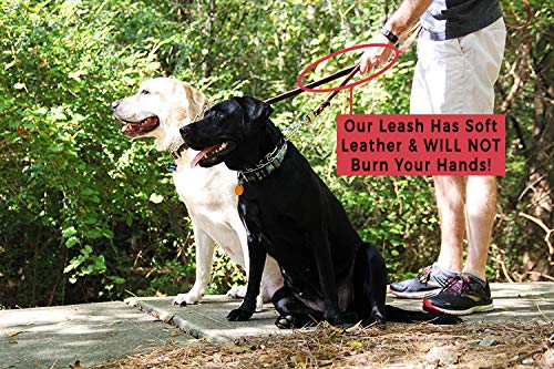 [Australia] - RVT Pet Care Leather Dog K9 Training Leash in Brown 6 Foot Leash Featuring Easy Open Slider Clasp for Pain-Free Hands Water Resistant 