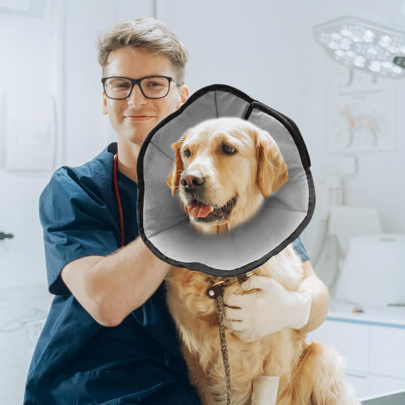 XEERUN Dog Neck Brace, Soft Comfortable Leak Protection Dog Conical Neck Brace Protective Collar Dog for Medium to Large Dogs, Postoperative Recovery Prevent Licking and Biting (L) - PawsPlanet Australia