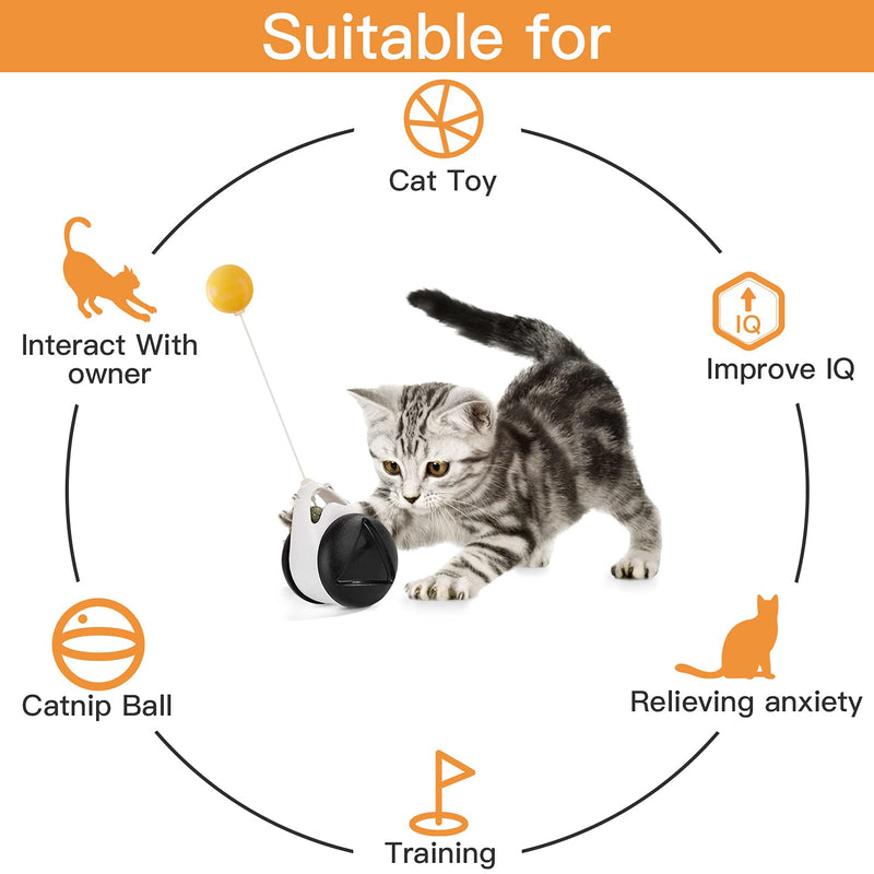 DGGHOMY Cat Toys for Indoor Cats Interactive, Catnip Toys for Indoor Cats Balance Cat Toy, Wheel Training Toys Tumbler Swing Cat Toys Educational Toys Stimulate The Cat's Hunting Instinc - PawsPlanet Australia