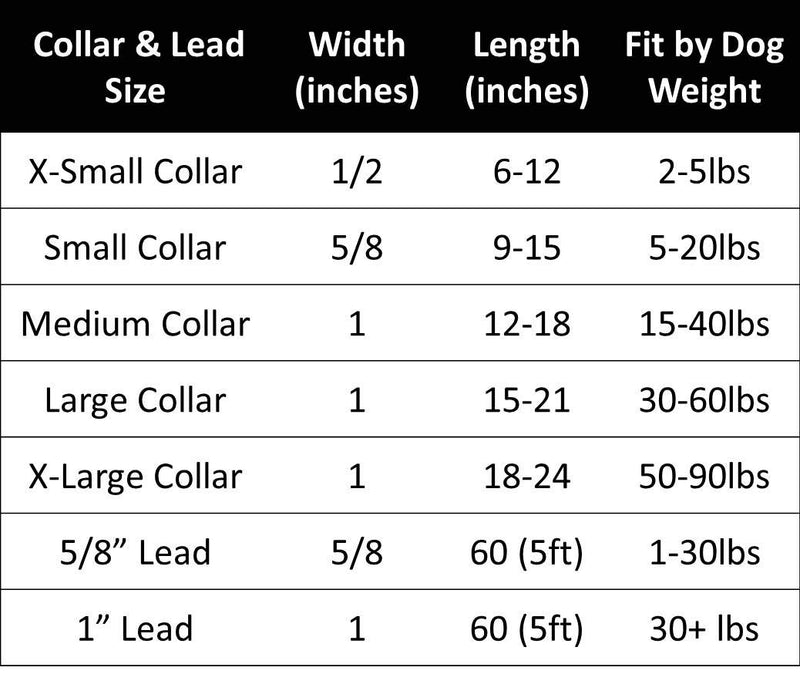 [Australia] - The Worthy Dog Squirrelly, Squirrel and Acorn Adjustable Designer Pet Cat Collar, Teal, 10" 