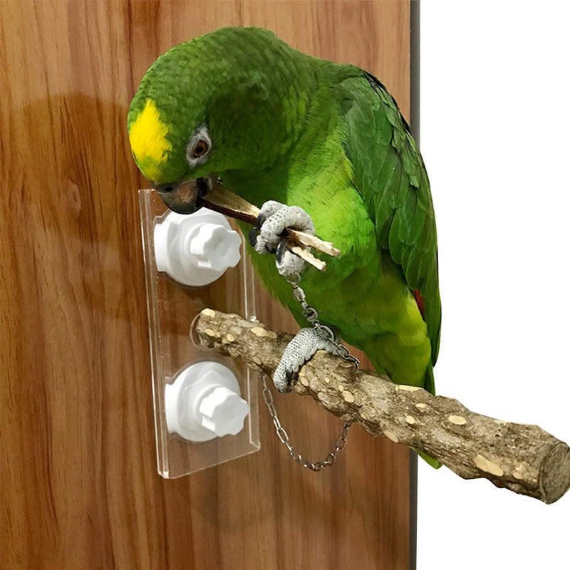 Bird Shower Perche Standing Rack with Suction Cup Bird Perch Window Wall Outdoor Travel for Pet Bird Parrot Cockatoo African Greys Parakeet Bath Perching Toy - PawsPlanet Australia