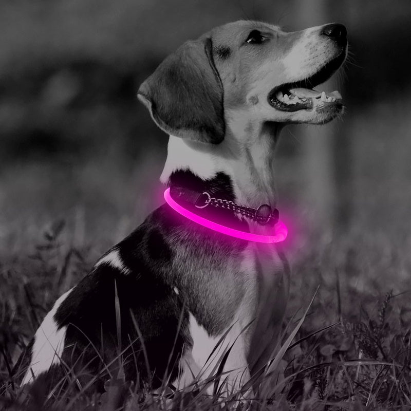 [Australia] - Illumifun LED Dog Collar, USB Rechargeable Light Up Collar, 360 Degree Glowing Pet Collar, DIY Cuttable Flashing Collar for Your Small Medium Large Dogs Candy Pink 