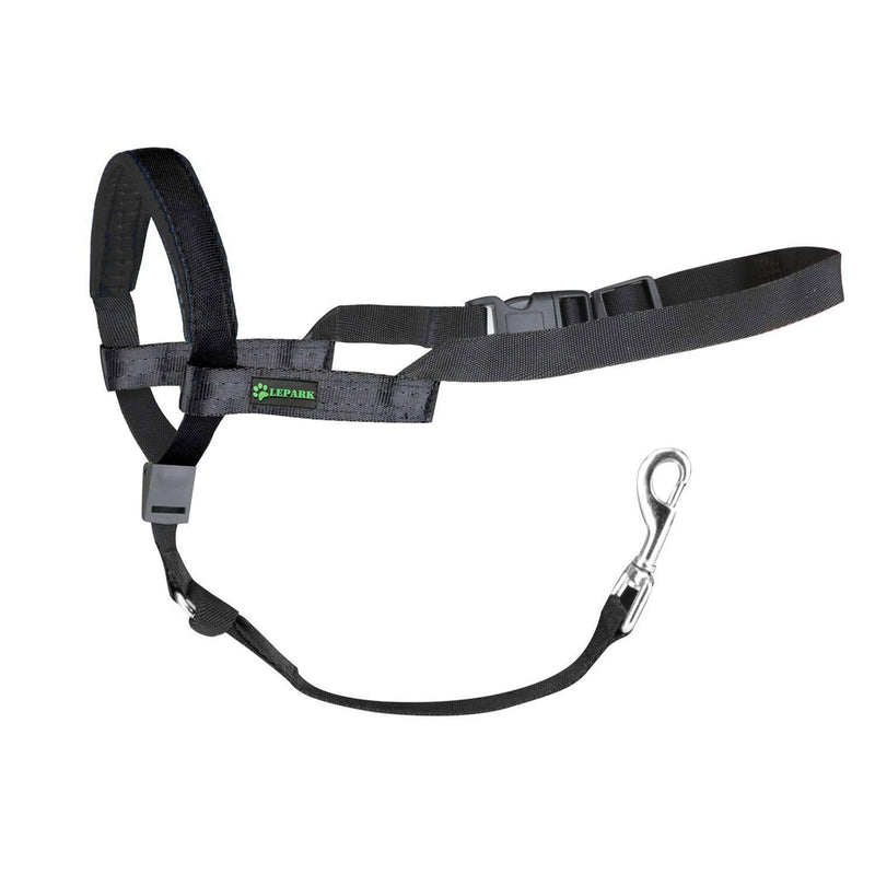 ILEPARK Dog Head collars Halter, Head Harness for Dogs with Padded Leather, Anti pulling, Adjustable, Training tool (L, Black) L - PawsPlanet Australia