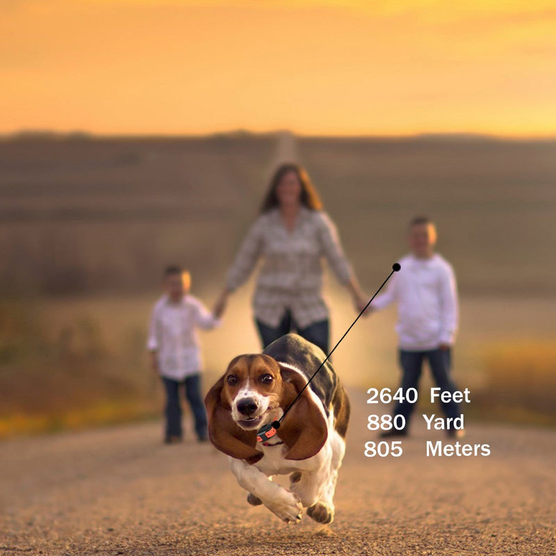 [Australia] - GoPetsGo 2640 Feet Rechargeable Waterproof Dog Training Collar with remote, vibration/Shocks and sound Mode of operation with White Back-light LED Display 