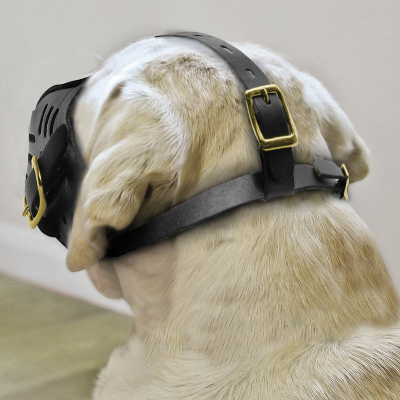 [Australia] - PET ARTIST Genuine Leather Dog Muzzle Adjustable for Medium and Big Dog Black 