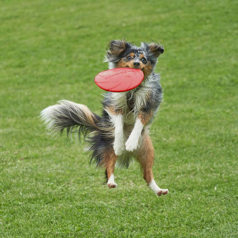 Vivifying Dog Flying Disc, 2 Pack 7 Inch Natural Rubber Floating Flying Saucer for Both Land and Water (Green + Red) Green + Red - PawsPlanet Australia