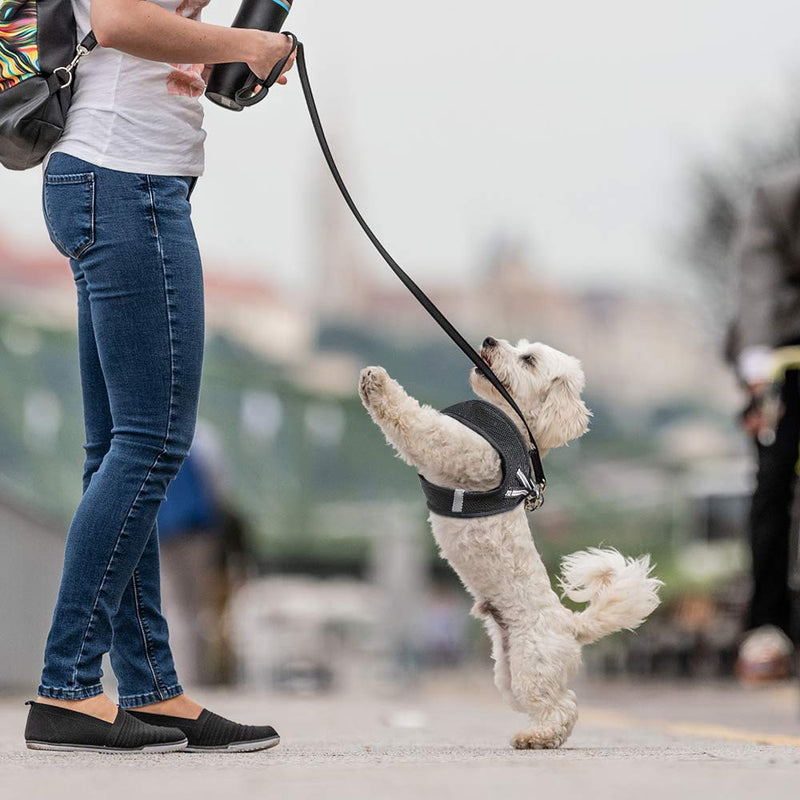 Heele Pet Dog Harness No Pull Breathable Puppy Dog Vest Harnesses, Adjustable Reflective Soft Padded for Small Medium Dog X-Small Black - PawsPlanet Australia