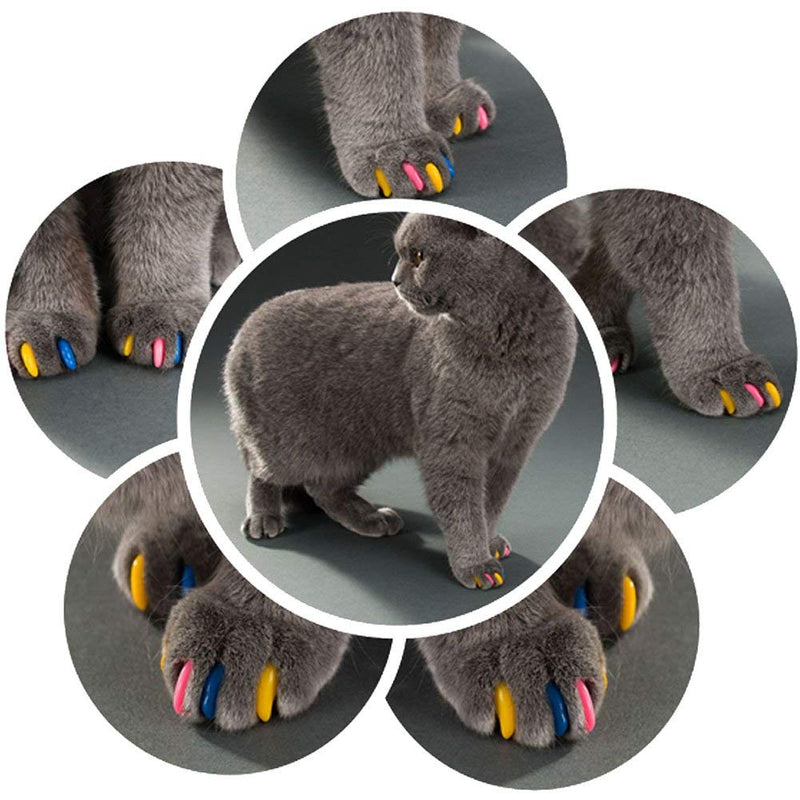 [Australia] - JOYJULY 140pcs Pet Cat Kitty Soft Claws Caps Control Soft Paws of 4 Glitter Colors, 10 Colorful Cat Nails Caps Covers + 7 Adhesive Glue+7 Applicator with Instruction Medium 