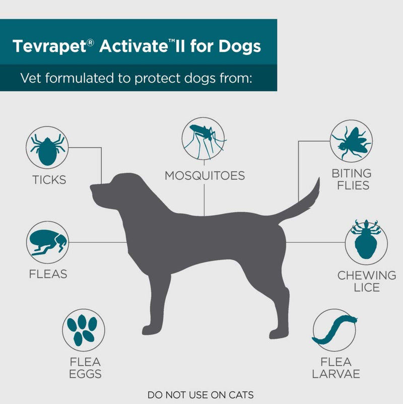 TevraPet Activate II Flea and Tick Prevention for Dogs | All Dog Sizes | 8 Months Supply | Medicine for Treatment and Control | Topical Drops (Medium 11-20 lbs) - PawsPlanet Australia