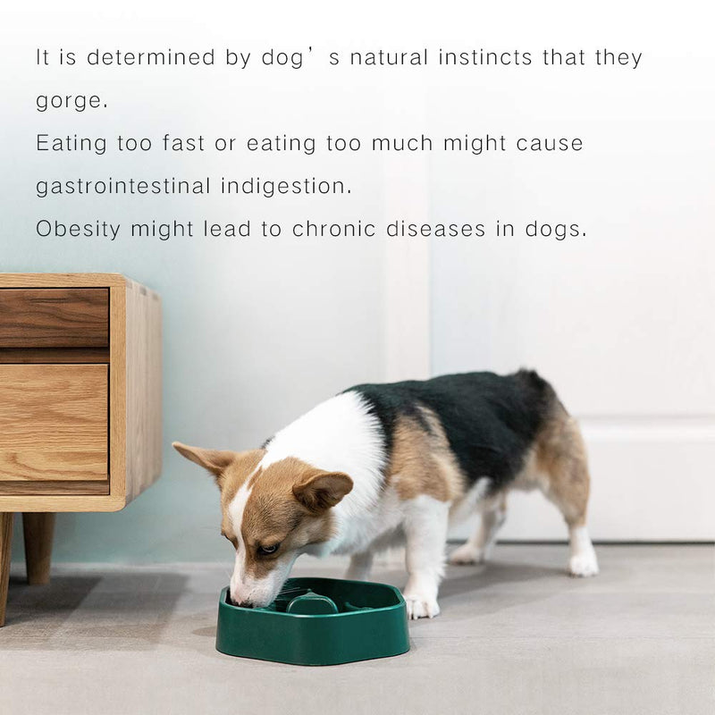 [Australia] - pidan Dog Bowls Slow Feeder Large Dog Food Bowl Stop Gulping ABS Non-Slip ABS Plastic for Safe Use 