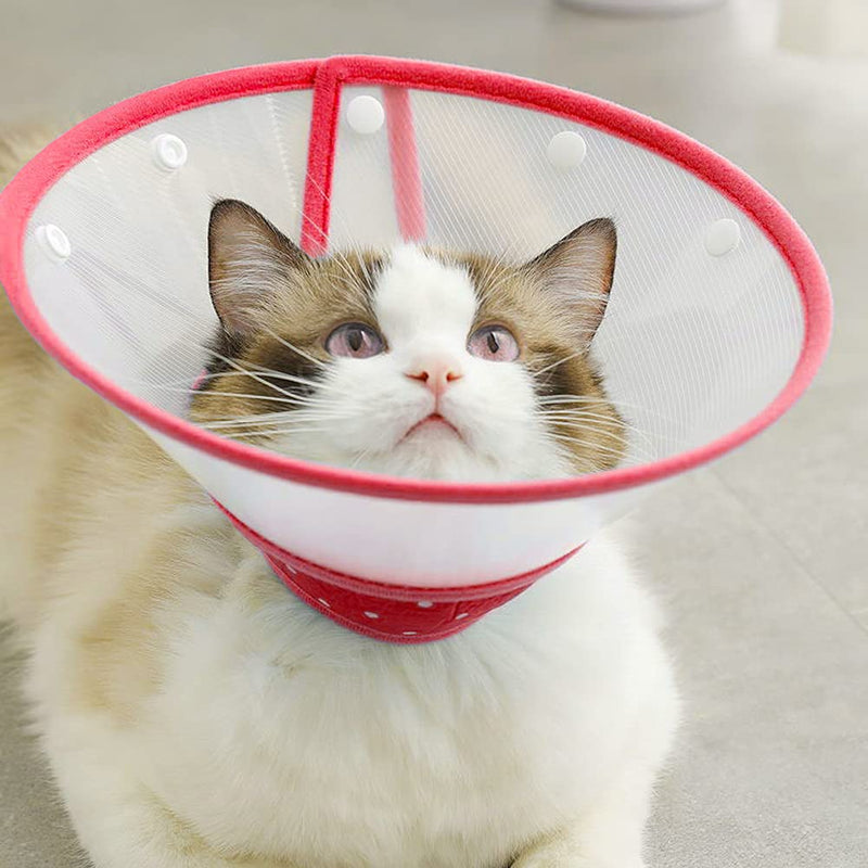 Vivifying Pet Cone, Adjustable Lightweight Elizabethan Collar for Puppies, Small Dogs and Cats Medium（6.7-9in） Red - PawsPlanet Australia