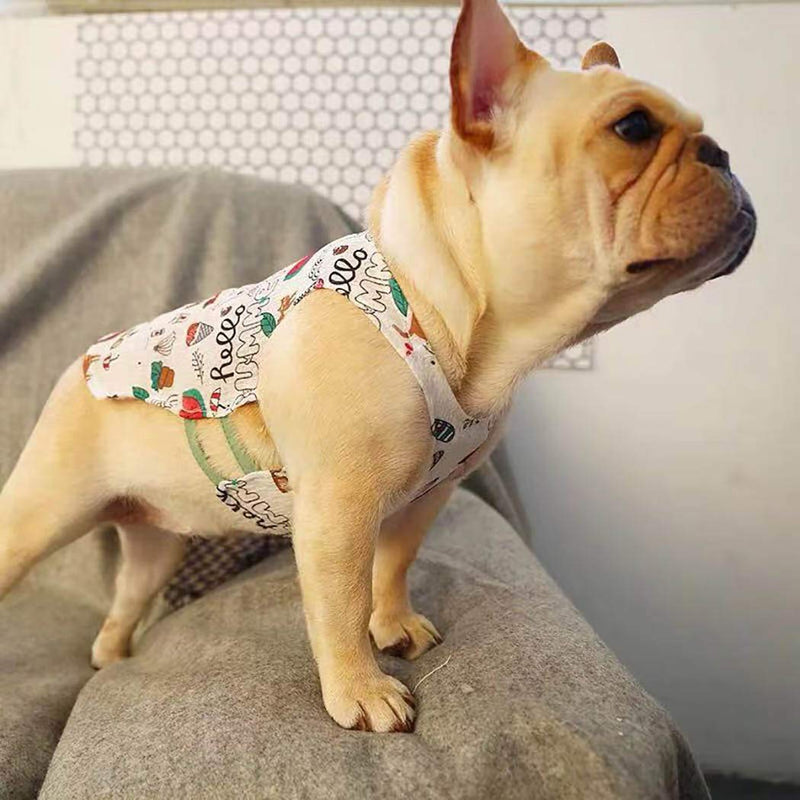 [Australia] - Petea Pet Clothes Dog Cat Summer Watermelon Fruits Vest Cute Puppy Apparel for Dogs and Cats M 