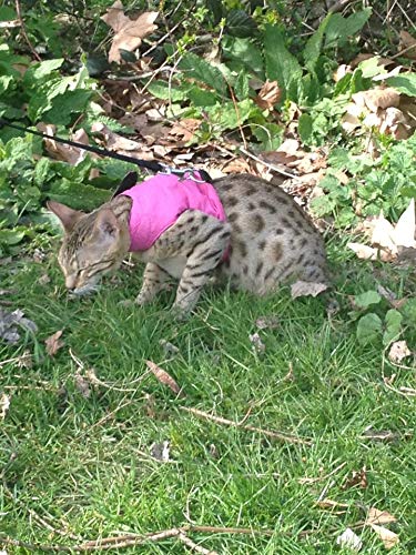 Mynwood Cat Jacket/Harness Pink Adult - PawsPlanet Australia