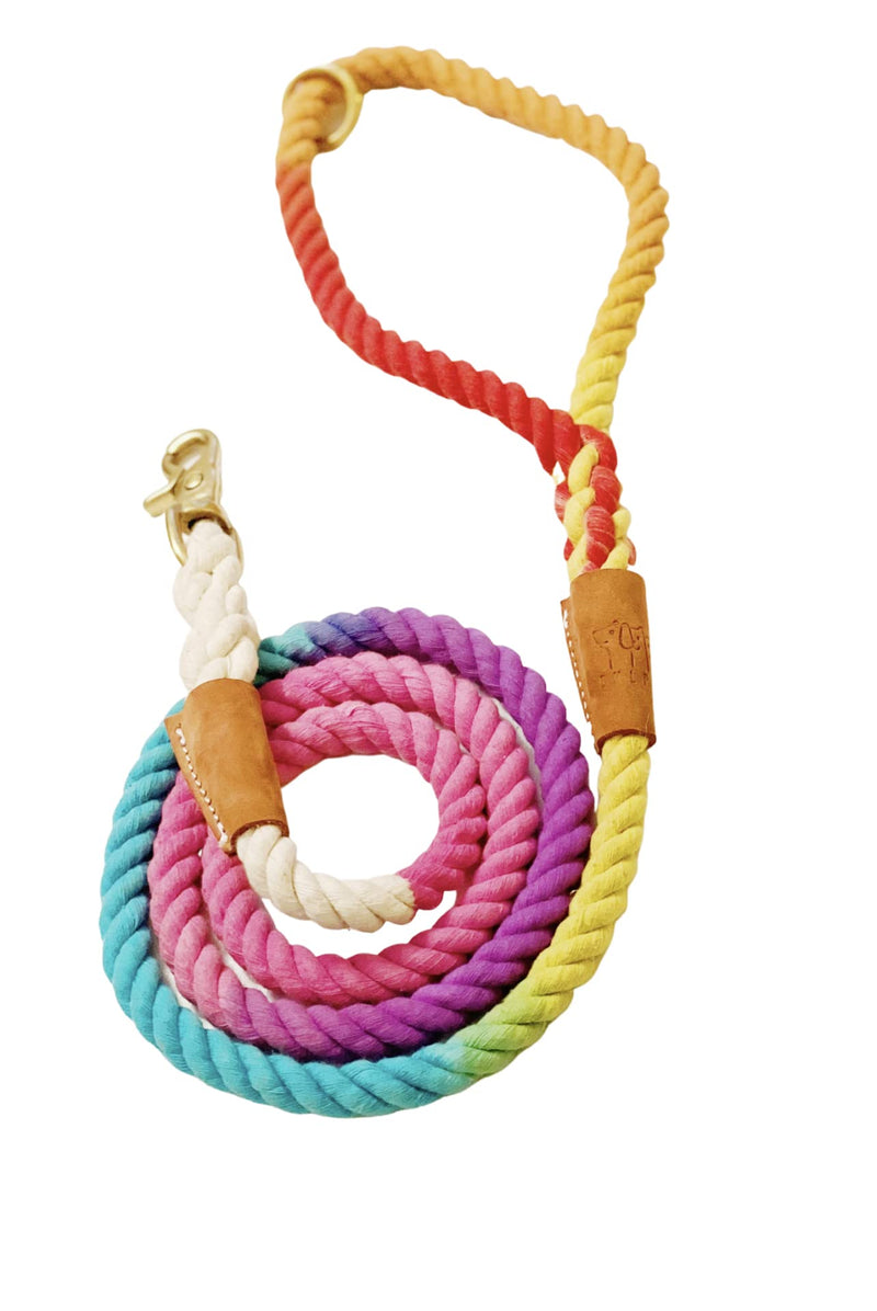 BULPET Eco Friendly Organic Cotton Durable Dog Ombre Rainbow Rope Leash with Brown Leather and Gold Brass Hardware / All Dogs - PawsPlanet Australia