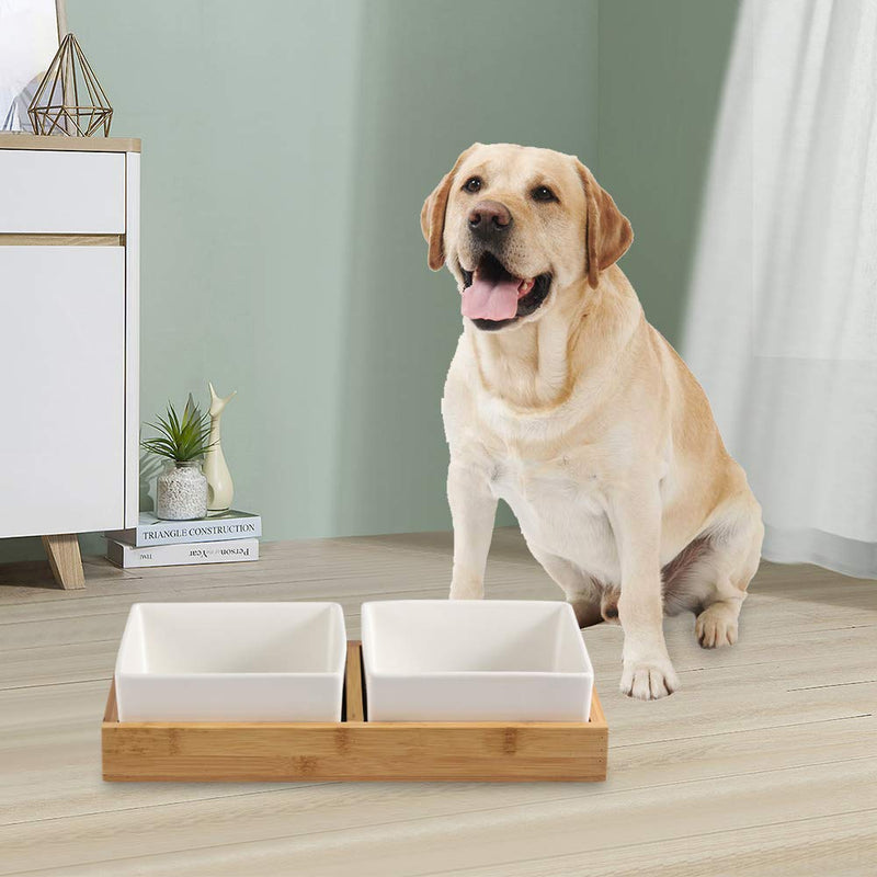 White Ceramic Double Dog Bowls Cat Bowls,Cat Dog Food and Water Bowls with Nature Bamboo Stand,Non-Slip Dog Bowl Set,Wide Cat Dish,Pet Food Bowls Set of 2 for Feeding Large Cats and Small,Medium Dogs White - PawsPlanet Australia