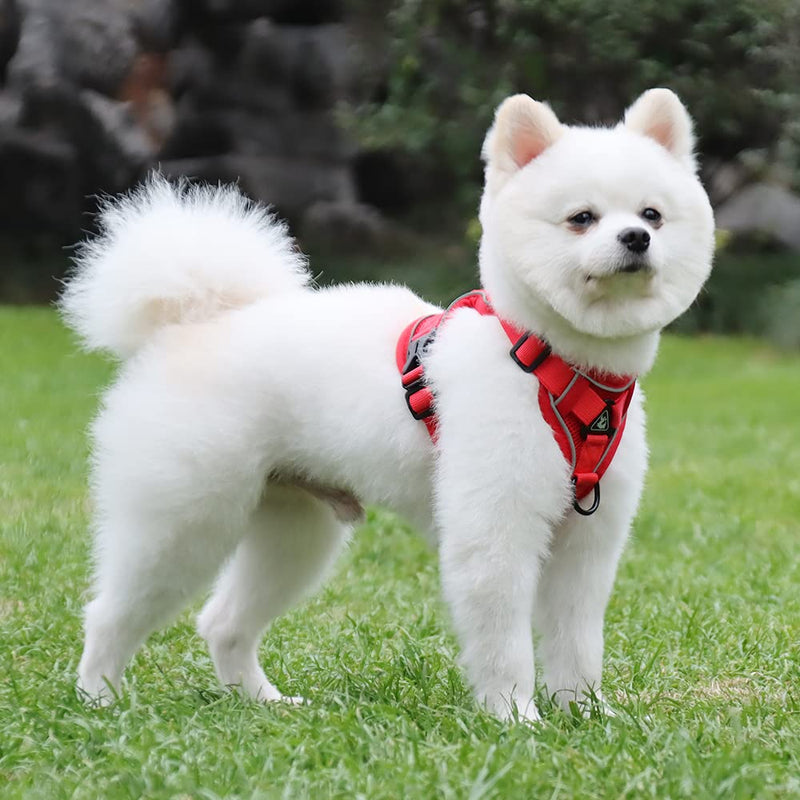 Lairle Dog Harness Small Dog, Puppy Harness, No Pull Dog Hanress Reflective Mesh Dog Vest Hanress with Leash Set for Small Dogs Cats XL Red - PawsPlanet Australia